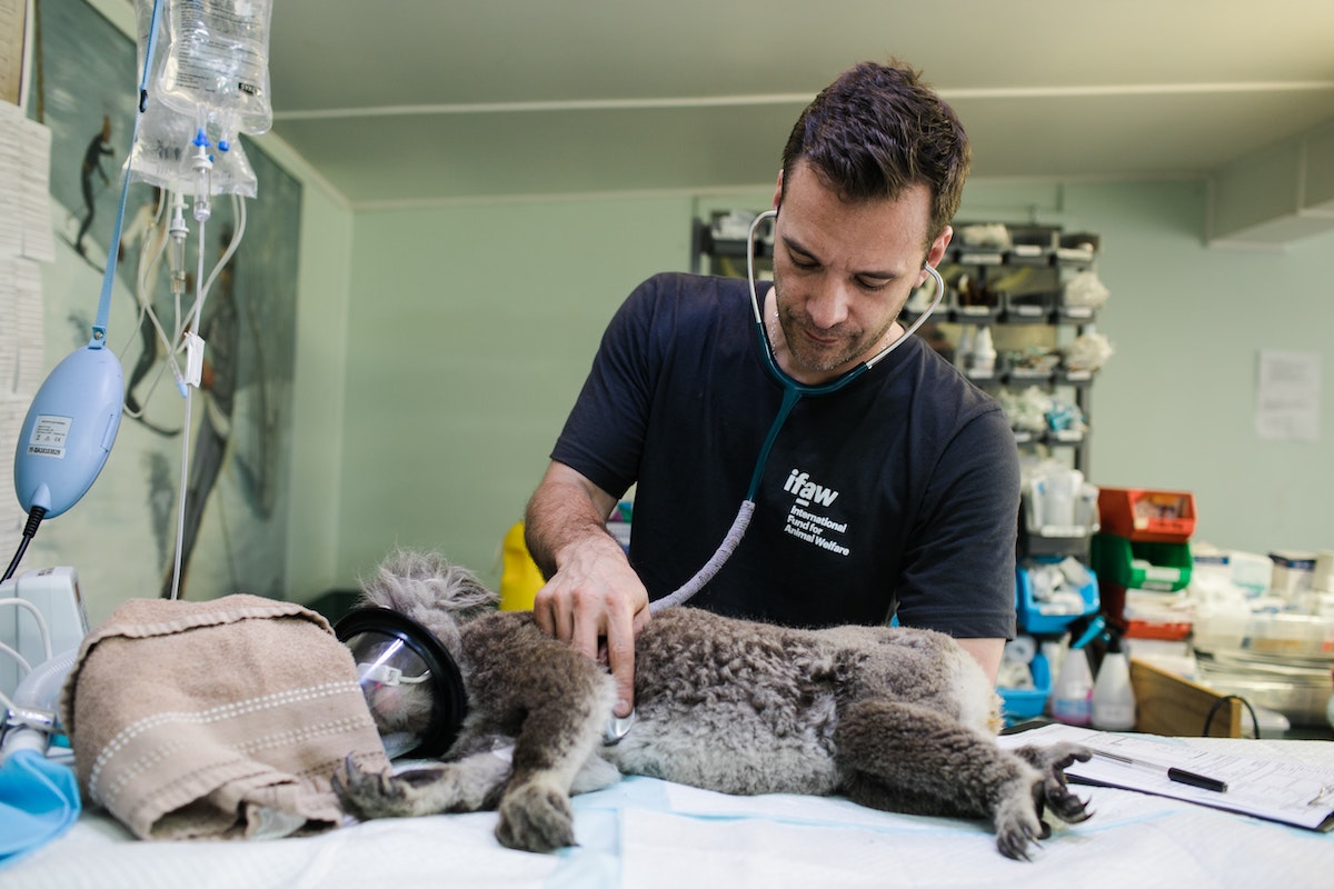 URANUS Animal Anesthesia Machine